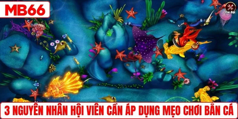 3 nguyên nhân hội viên cần áp dụng mẹo chơi bắn cá