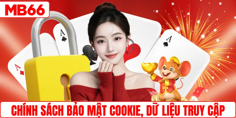 Chính sách bảo mật cookie, dữ liệu truy cập nền tảng