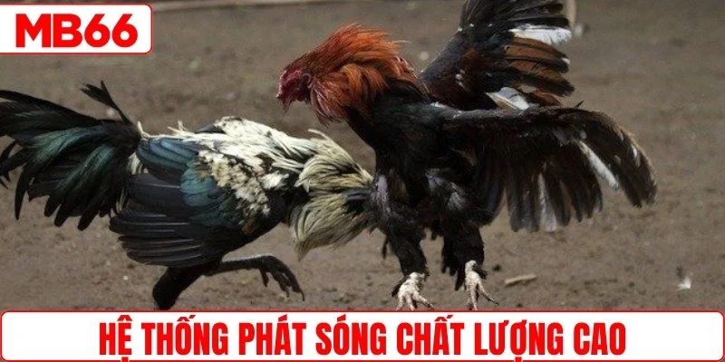 Hệ thống phát sóng chất lượng cao