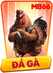 icon-xo so-mb66
