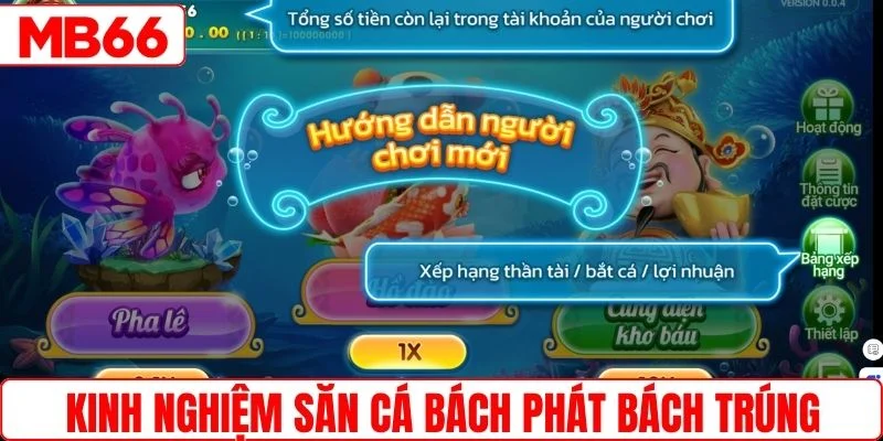 Kinh nghiệm săn cá bách phát bách trúng từ bậc thầy