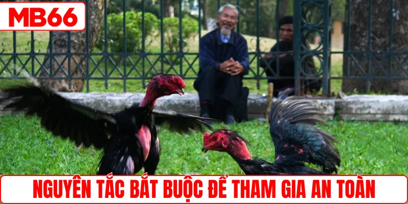 Những nguyên tắc bắt buộc để tham gia an toàn